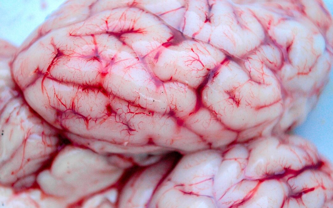 Meningkatkan Keadilan Poker melalui Teknologi Keamanan Tingkat Lanjut