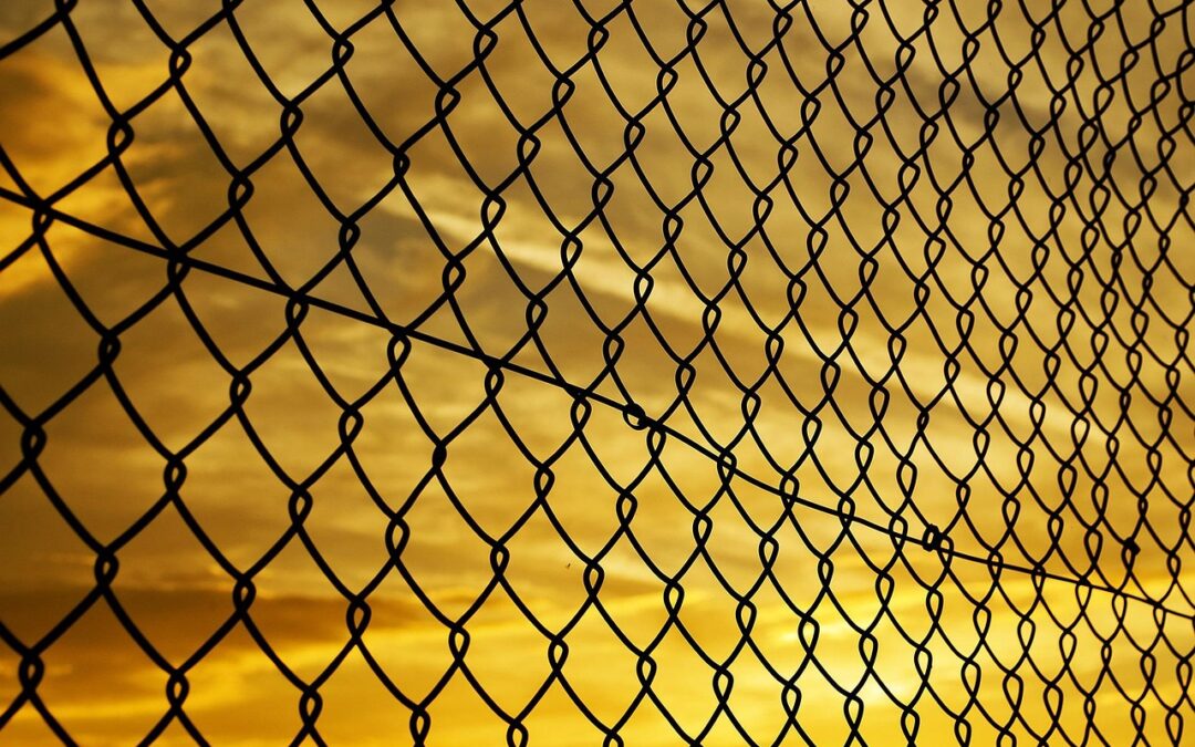 Unlocking Winning Strategies with Quantum Poker Algorithms